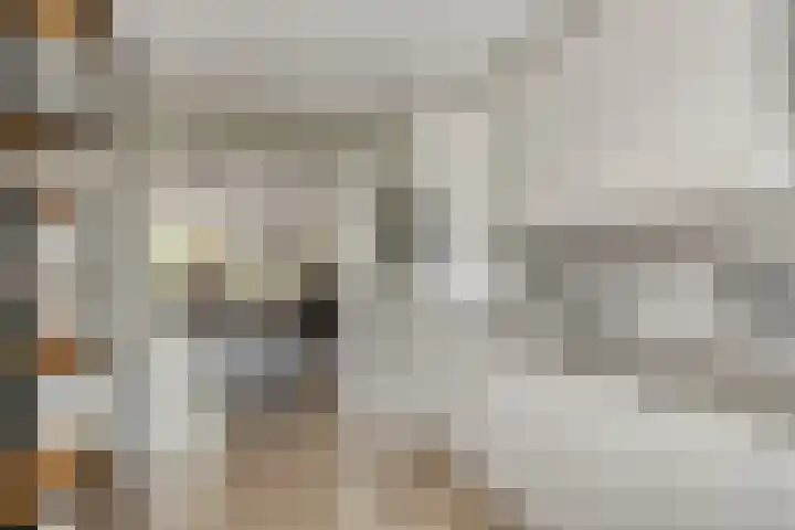 Wagenmaker 4 Rijssen thumbnail 20