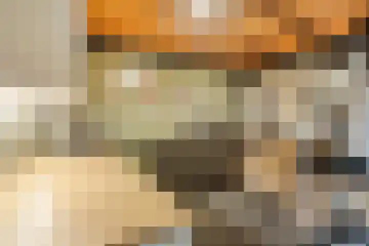 Wagenmaker 4 Rijssen thumbnail 32