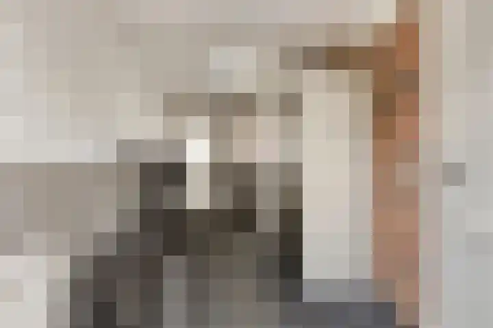 Wagenmaker 4 Rijssen thumbnail 33