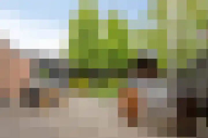 Wagenmaker 4 Rijssen thumbnail 34