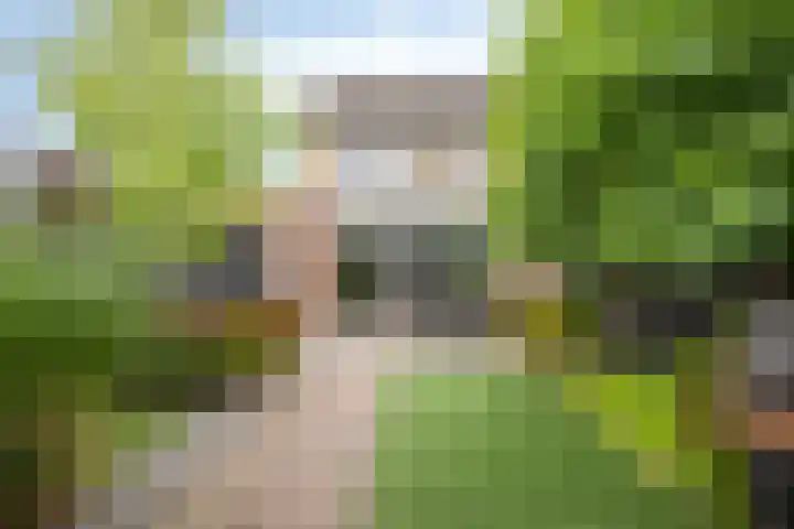 Wagenmaker 4 Rijssen thumbnail 36