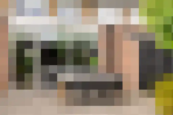 Wagenmaker 4 Rijssen thumbnail 38