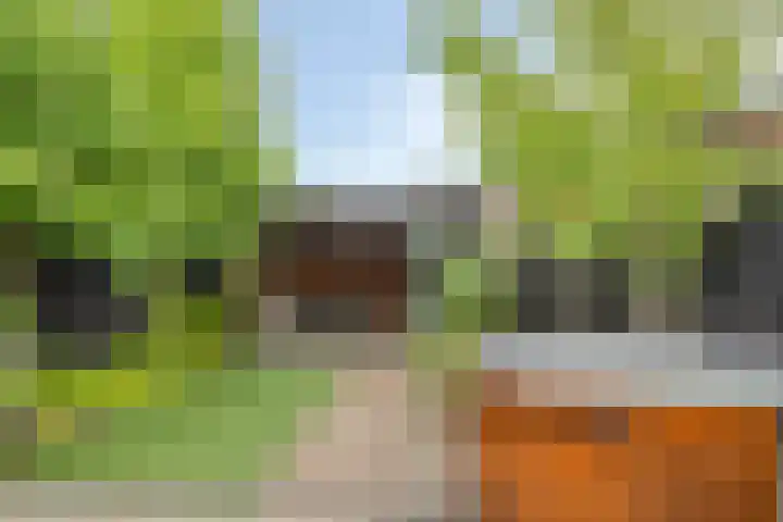 Wagenmaker 4 Rijssen thumbnail 4