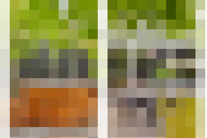 Wagenmaker 4 Rijssen thumbnail 40