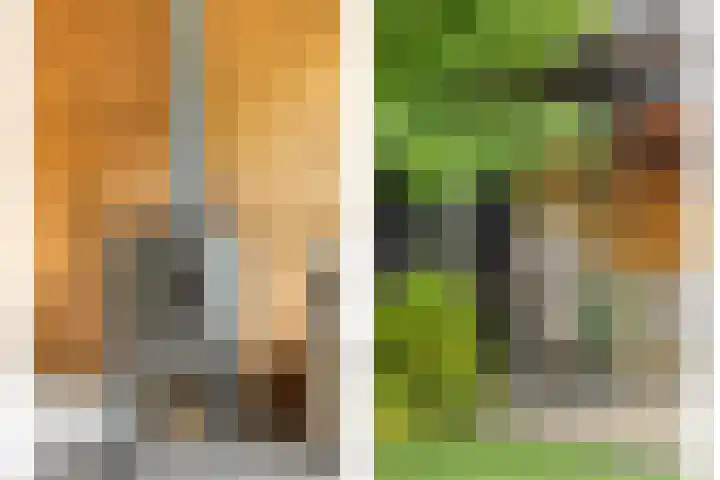 Wagenmaker 4 Rijssen thumbnail 41