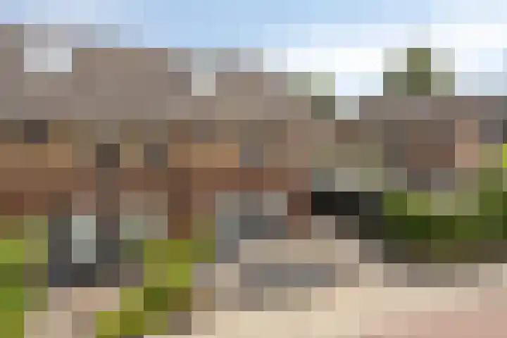 Wagenmaker 4 Rijssen thumbnail 43