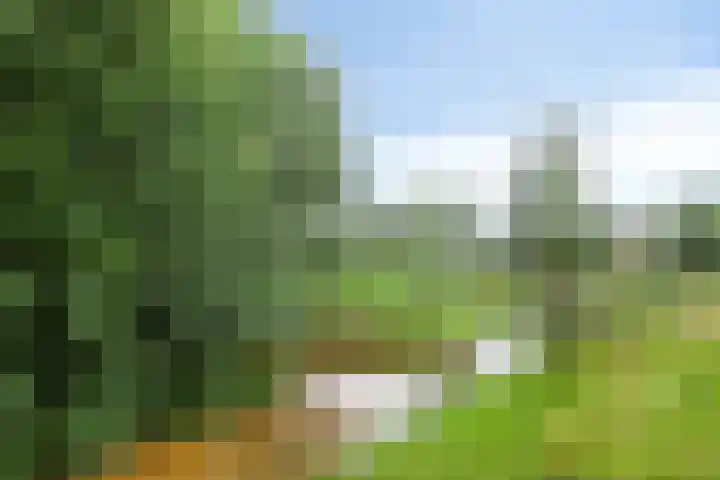 Wagenmaker 4 Rijssen thumbnail 44