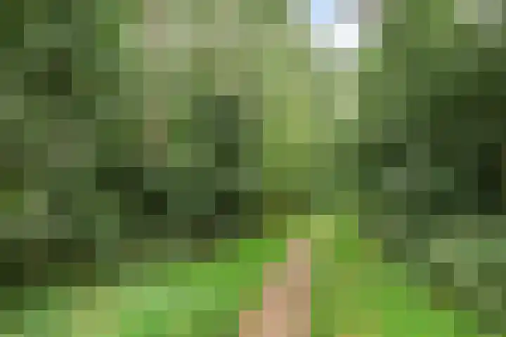 Wagenmaker 4 Rijssen thumbnail 45