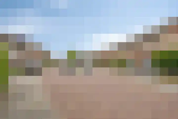 Wagenmaker 4 Rijssen thumbnail 7