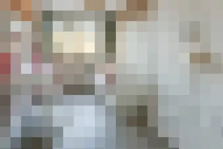 Wagenmaker 4 Wilnis thumbnail 11