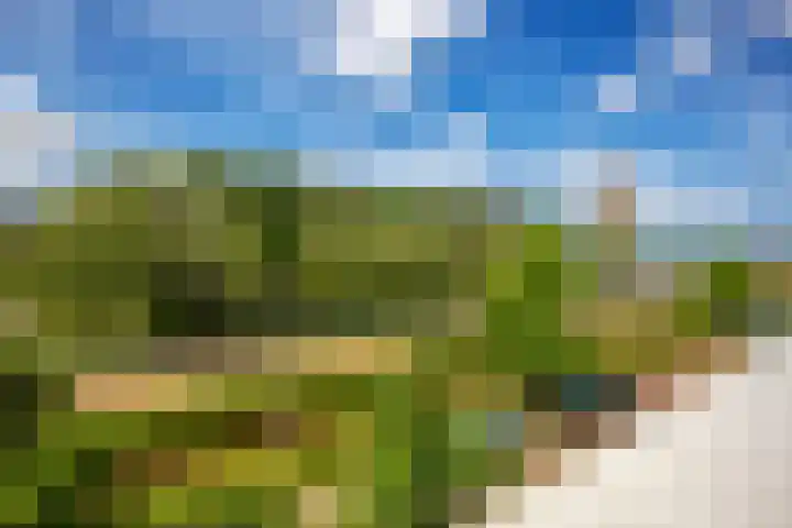 Wagenmaker 41 Leiderdorp thumbnail 36