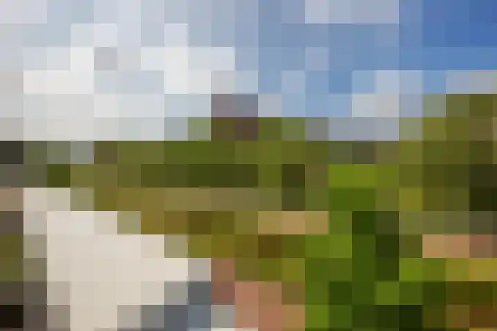 Wagenmaker 41 Leiderdorp thumbnail 38