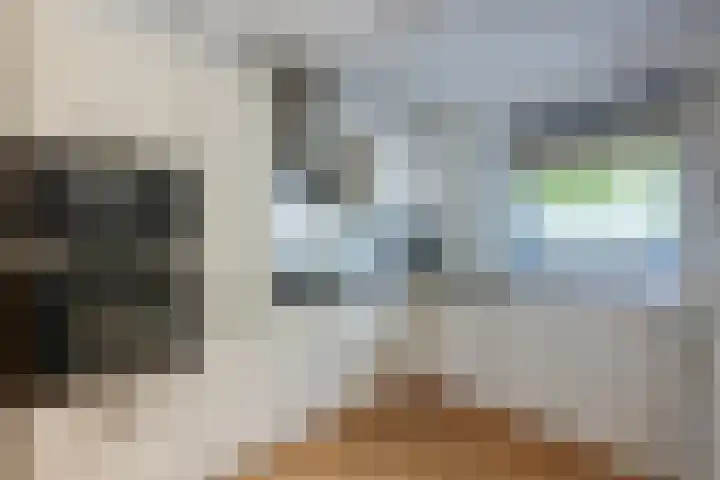 Wagenmaker 41 Leiderdorp thumbnail 4