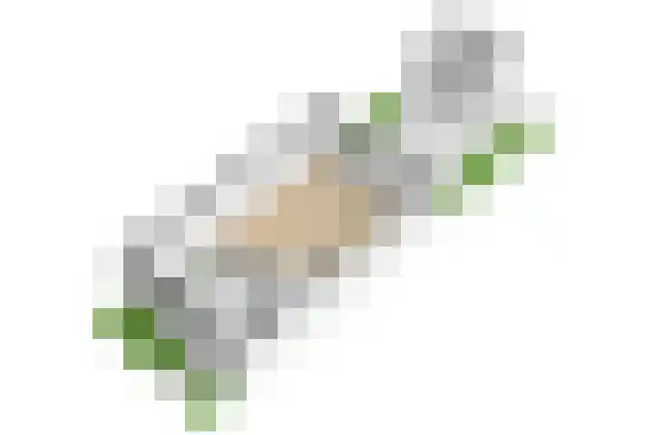 Wagenmaker 41 Leiderdorp thumbnail 44