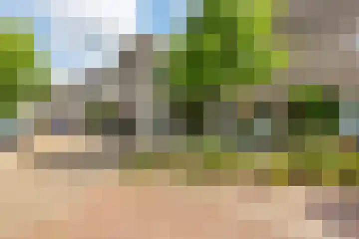 Wagenmaker 41 Leiderdorp thumbnail 6