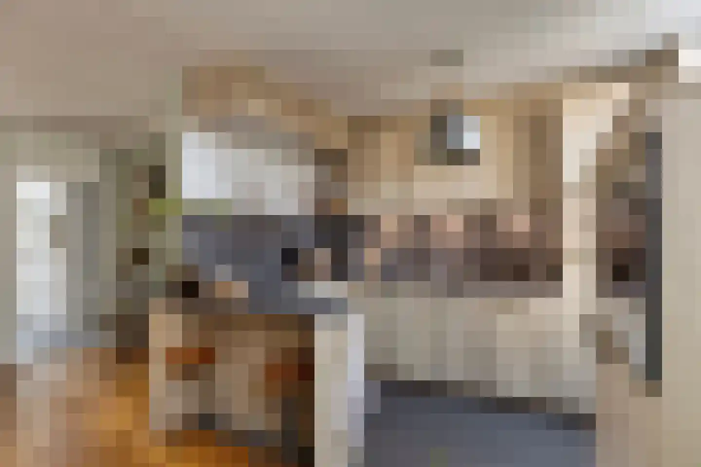 Wagenmaker 42 Oost West en Middelbeers thumbnail 12
