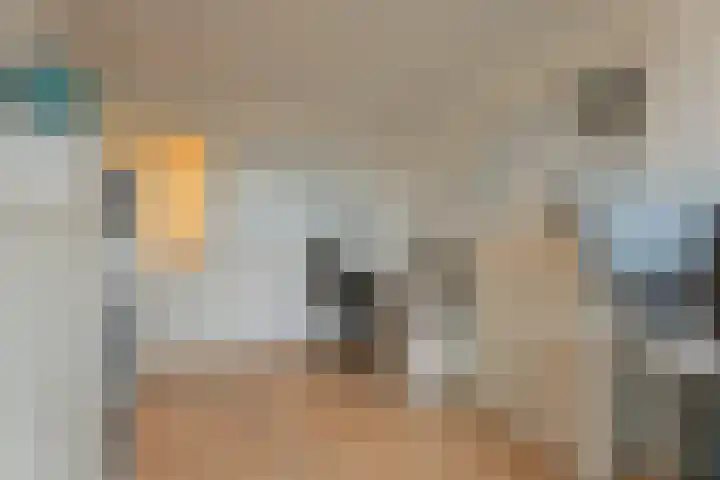 Wagenmaker 46 Leiderdorp thumbnail 14