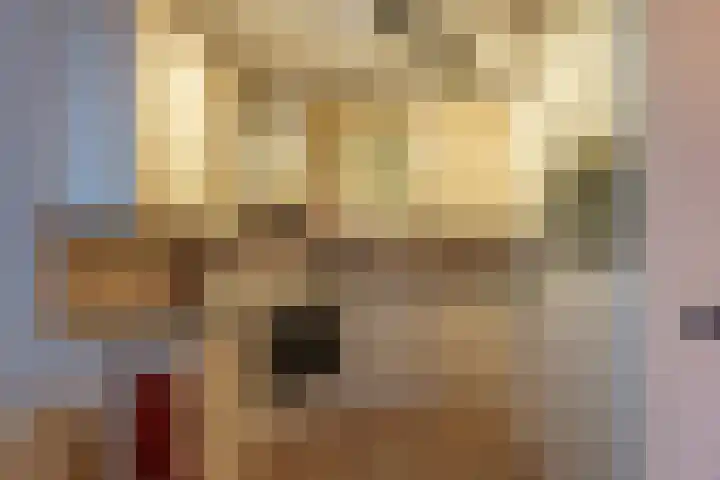 Wagenmaker 46 Leiderdorp thumbnail 7