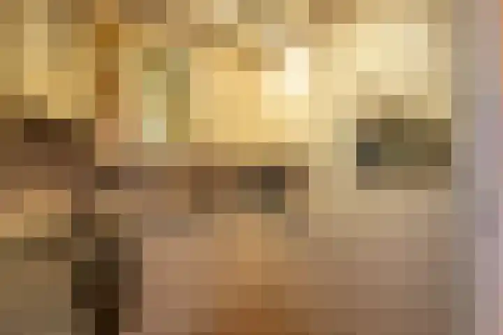 Wagenmaker 46 Leiderdorp thumbnail 8