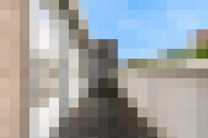 Wagenmaker 47 Leiderdorp thumbnail 27