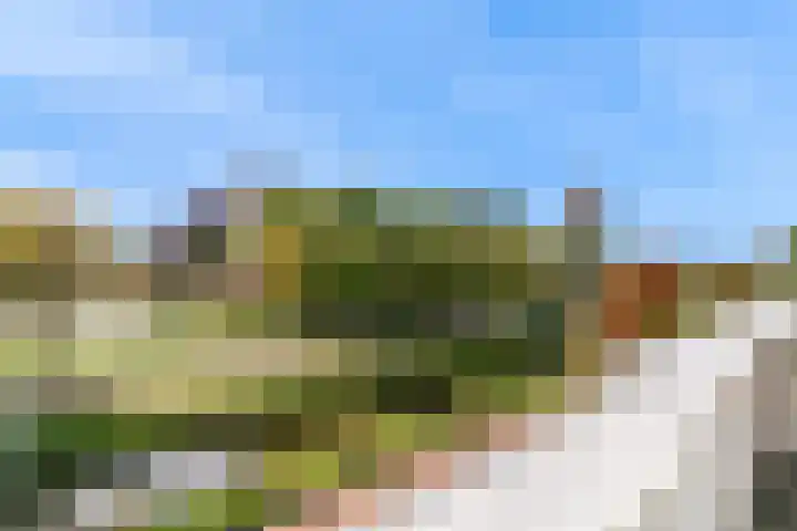 Wagenmaker 47 Leiderdorp thumbnail 29