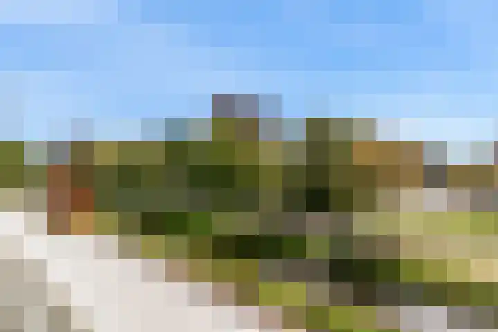 Wagenmaker 47 Leiderdorp thumbnail 30