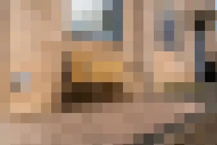 Wagenmaker 47 Leiderdorp thumbnail 39