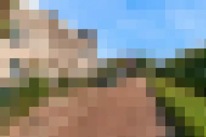 Wagenmaker 47 Leiderdorp thumbnail 40