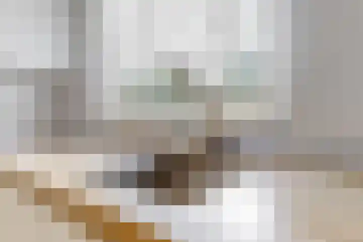 Wagenmaker 47 Leiderdorp thumbnail 8