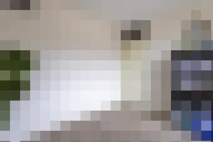 Wagenmaker 5 IJsselstein thumbnail 38