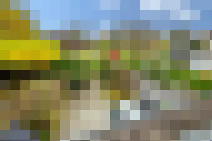 Wagenmaker 5 IJsselstein thumbnail 5