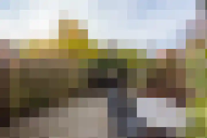 Wagenmaker 5 IJsselstein thumbnail 54