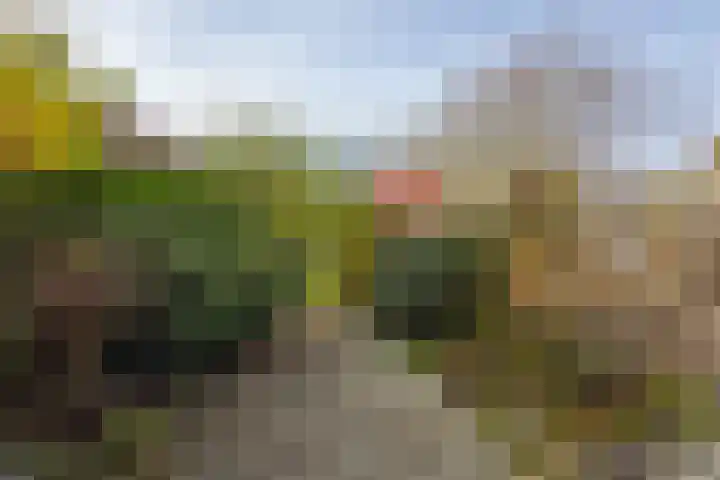 Wagenmaker 5 IJsselstein thumbnail 55