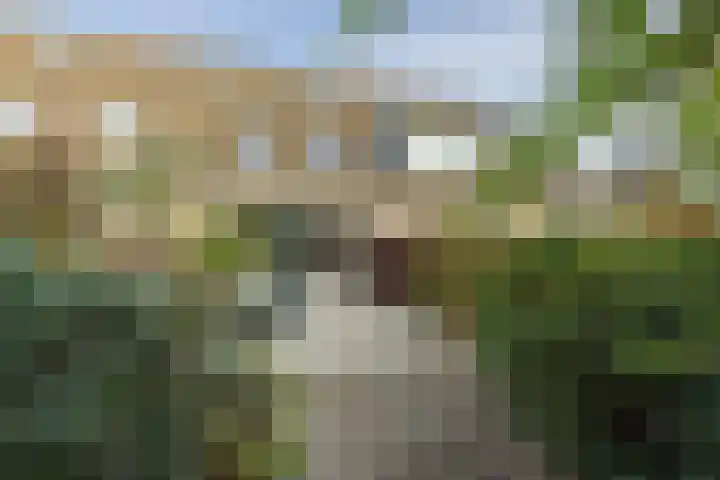 Wagenmaker 5 IJsselstein thumbnail 56