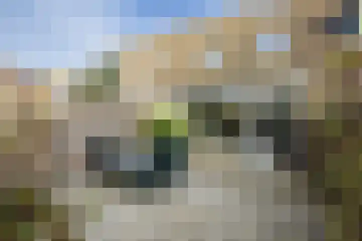 Wagenmaker 5 IJsselstein thumbnail 57