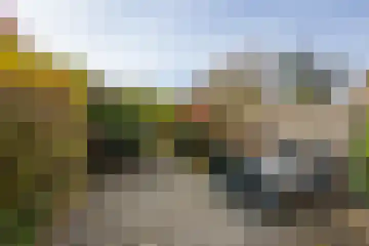 Wagenmaker 5 IJsselstein thumbnail 60