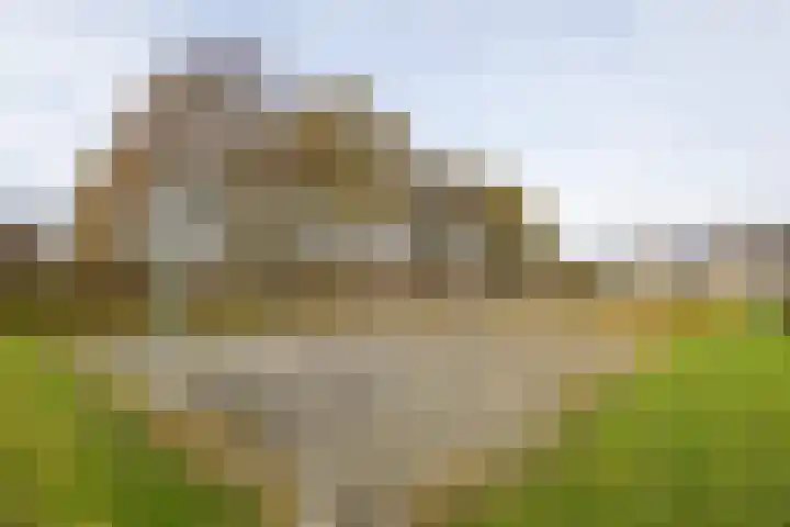 Wagenmaker 5 IJsselstein thumbnail 67
