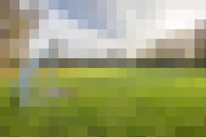 Wagenmaker 5 IJsselstein thumbnail 68