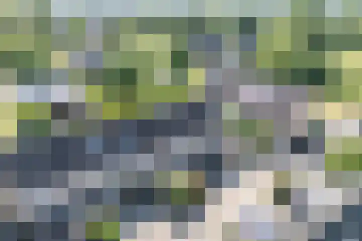Wagenmaker 5 IJsselstein thumbnail 8