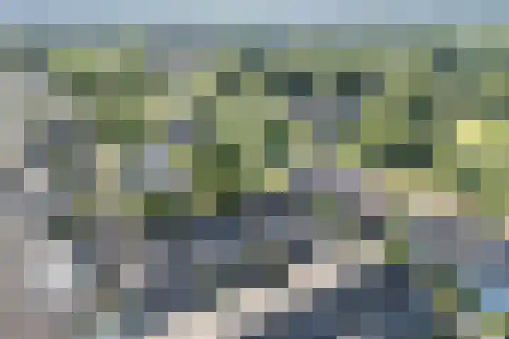Wagenmaker 5 IJsselstein thumbnail 9