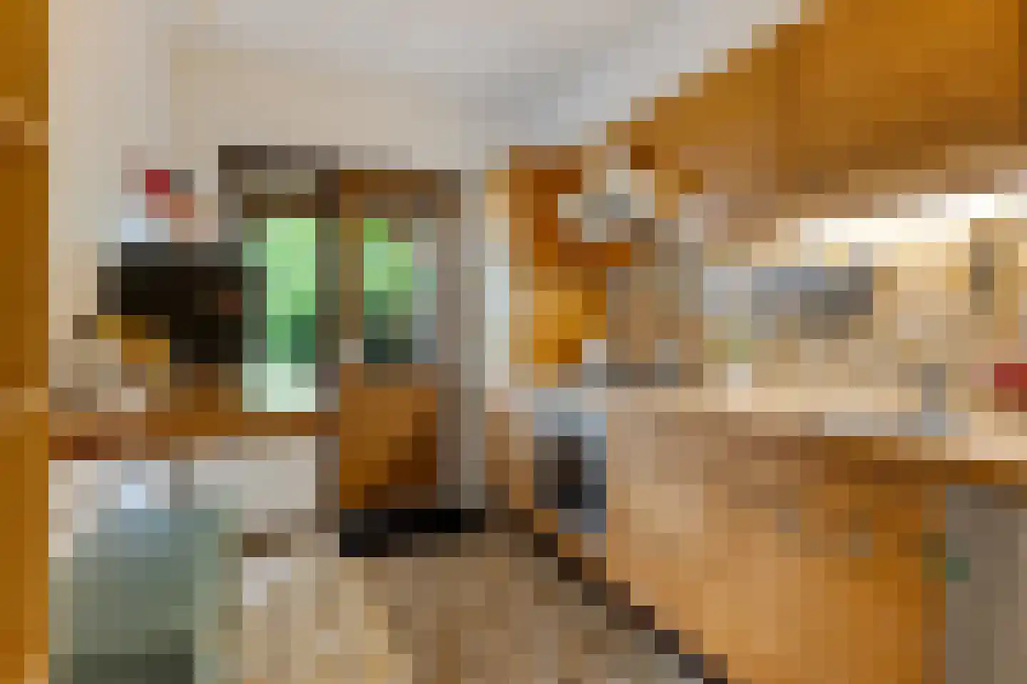 Wagenmaker 6 Best thumbnail 12