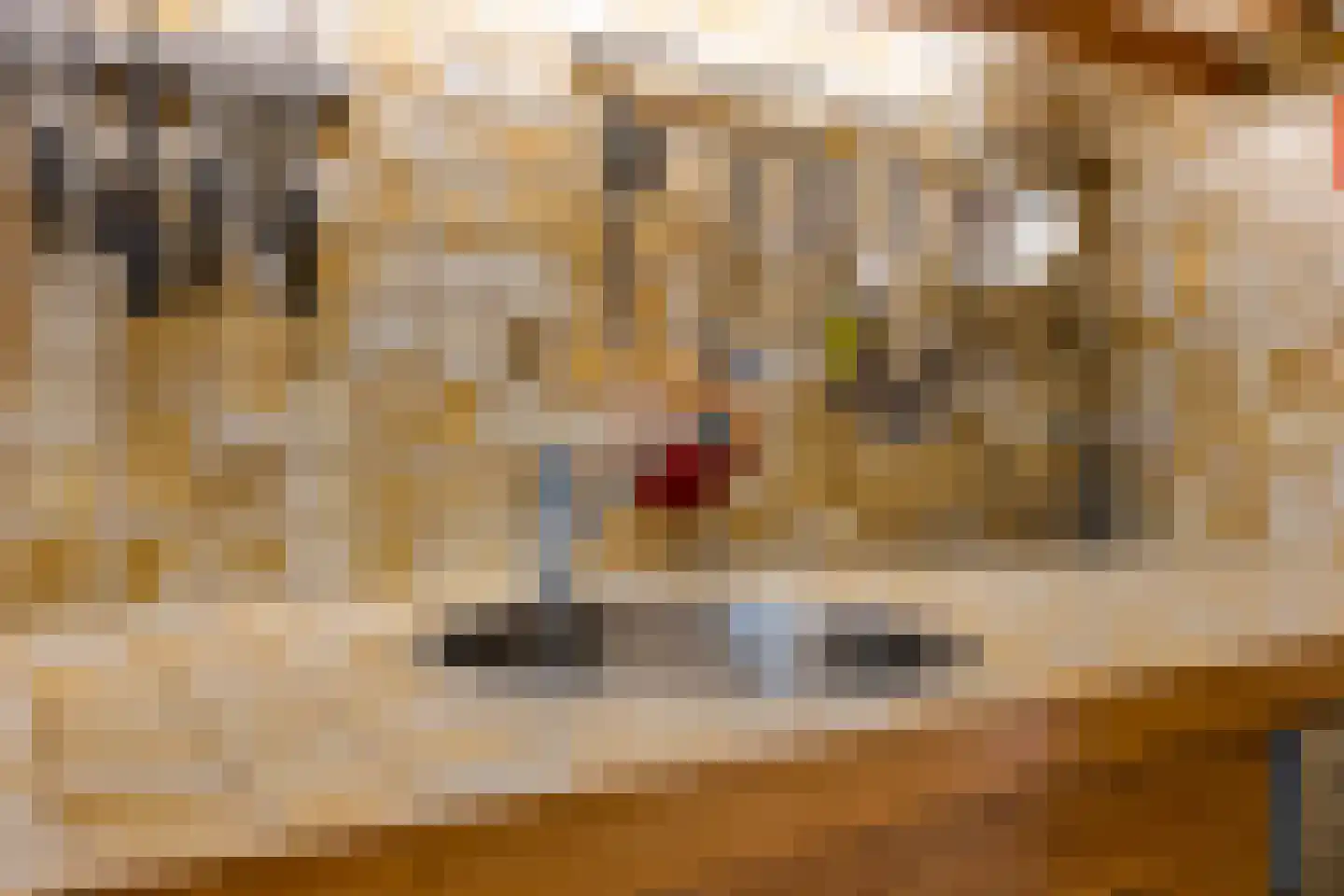 Wagenmaker 6 Best thumbnail 15