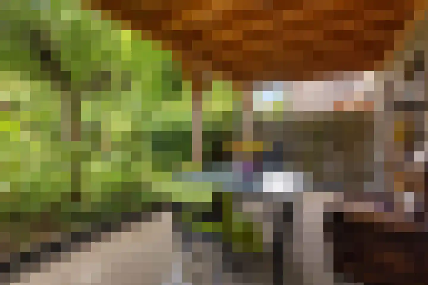 Wagenmaker 6 Best thumbnail 31