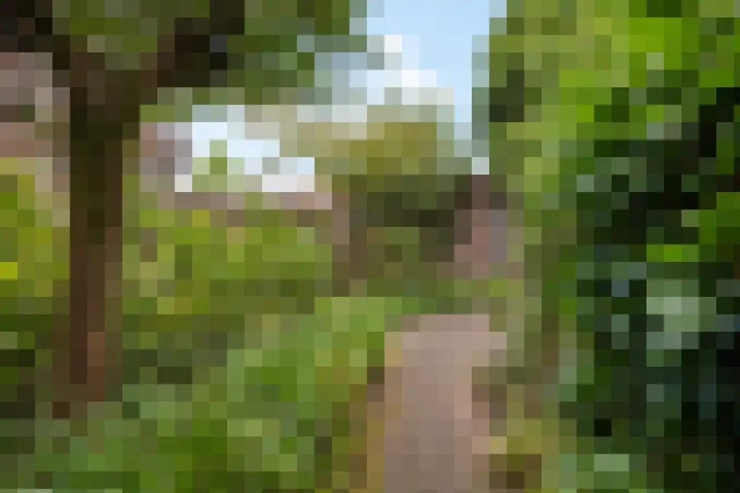 Wagenmaker 6 Best thumbnail 32