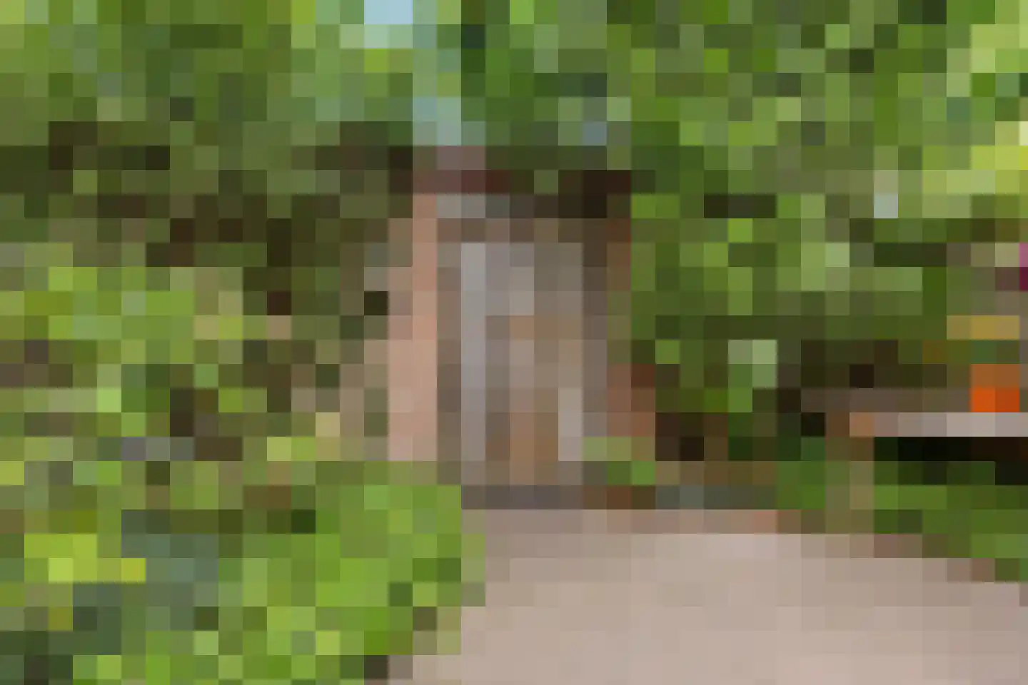 Wagenmaker 6 Best thumbnail 33