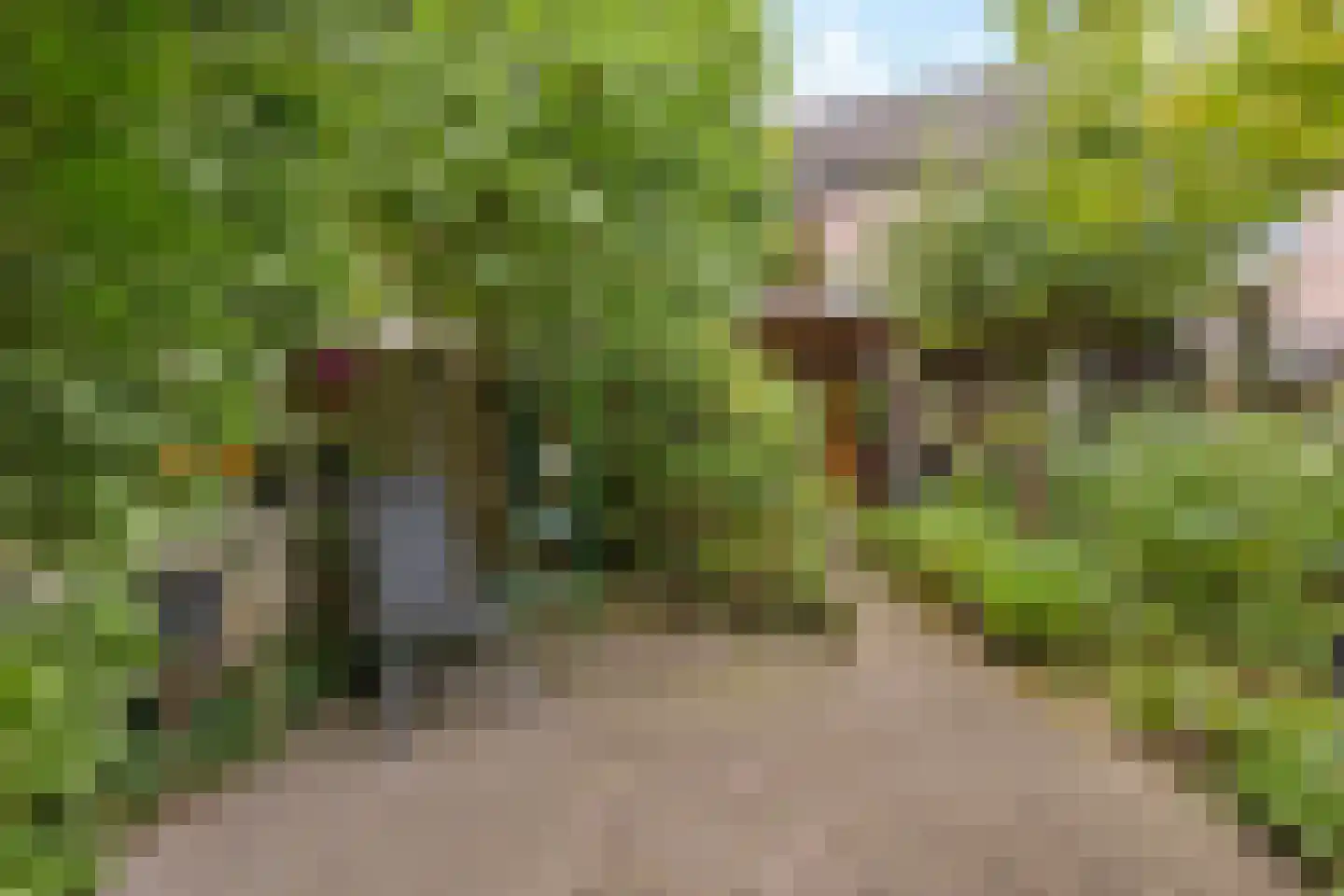 Wagenmaker 6 Best thumbnail 34