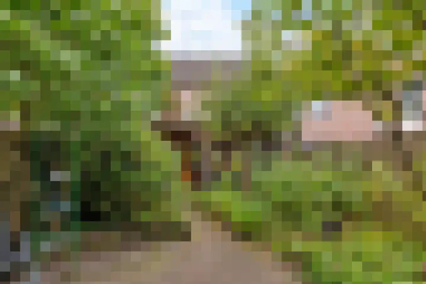 Wagenmaker 6 Best thumbnail 35