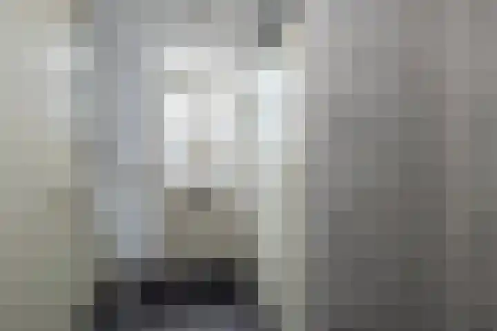 Wagenmaker 6 Rijssen thumbnail 10