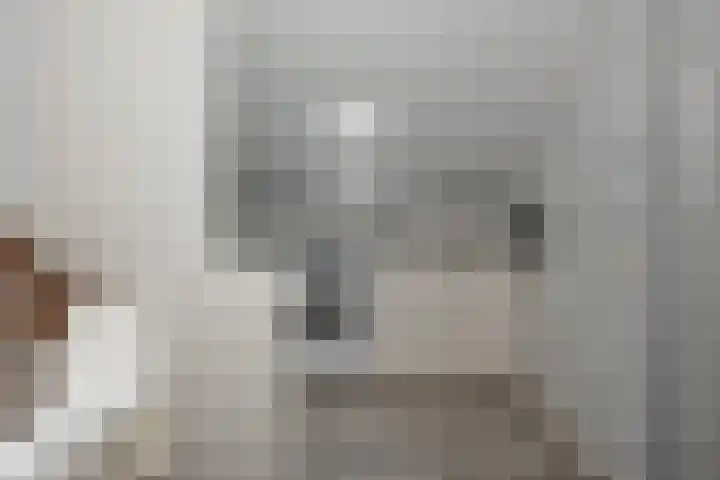 Wagenmaker 6 Rijssen thumbnail 18