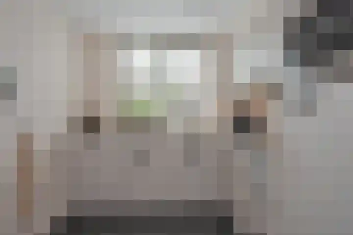 Wagenmaker 6 Rijssen thumbnail 7